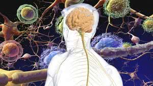 Ilustração | BruceBlaus via Wikimedia Commons