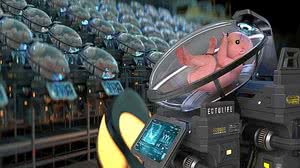 Foto: Hashem Al-Ghaili/Divulgação