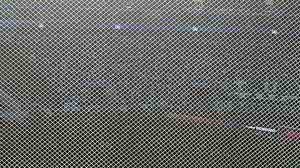 Torcedores visitantes reclamaram da falta de visibilidade no Allianz Parque | @ConverTricolor/Twitter