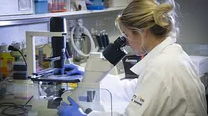 Foto: Paulo Marrucho / Instituto D'Or de Pesquisa e Ensino