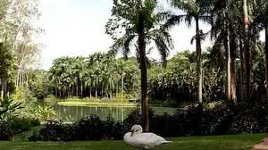 Instituto Inhotim / TV Brasil