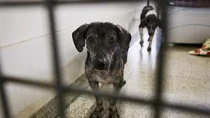 Breno Esaki/Agência Saúde DF