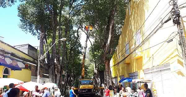 Linhas têm itinerário alterado para serviço na Rua das Árvores