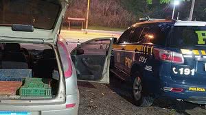 Foto: Divulgação/PRF