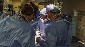 Divulgação/Massachusetts General Hospital