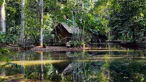 Alexandre Machado / Agência Brasil / Reprodução