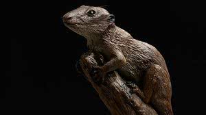 Foto: Rochele Zandavalli/UFRGS