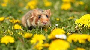 Foto: Ilustrativa/Freepik