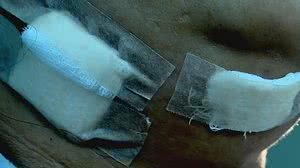 Reprodução / TV Globo