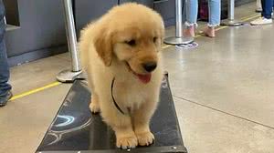 Reprodução / Instagram