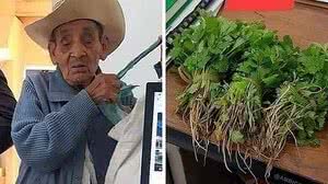 Imagem Funcionário aceita coentro de cliente como pagamento de taxa em cartório