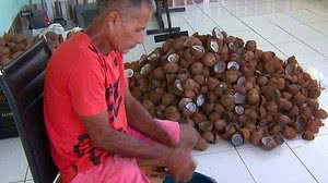 Reprodução/TV Globo