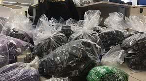 Foto: Cortesia / Polícia Federal