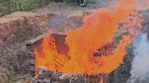 Droga foi incinerada em um terreno baldio no interior de Alagoas | Foto: Reprodução