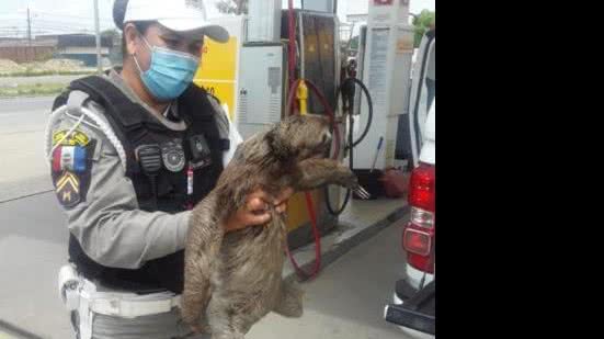 Foto: Cortesia / BPRv