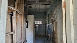 João Arthur Sampaio/TNH1