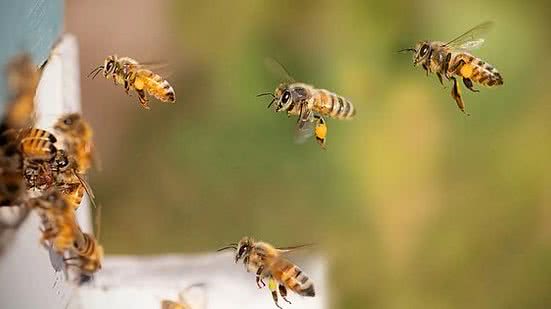 Ilustração/Pixabay