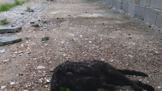 Kiko Oliveira/Cortesia ao TNH1