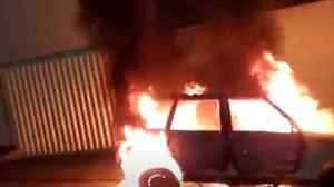 Reprodução/7Segundos