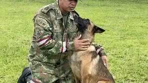 Reprodução/Fuerzas Militares de Colombia