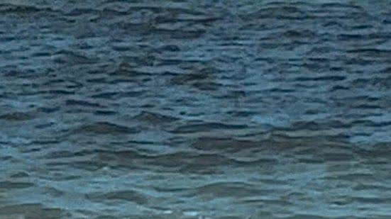 Imagem Mancha escura no mar de Ponta Verde foi causado por algas, diz IMA