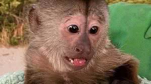 Gabinete do Xerife do Condado de San Luis Obispo