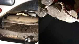 Foto: Divulgação/CBM-AL