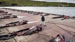 magem ilustrativa (Ritzau Scanpix Denmark/Reuters)