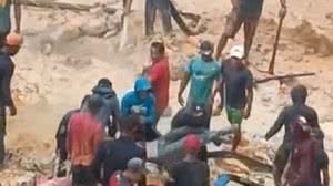 Reprodução / Instagram / SOS Orinoco