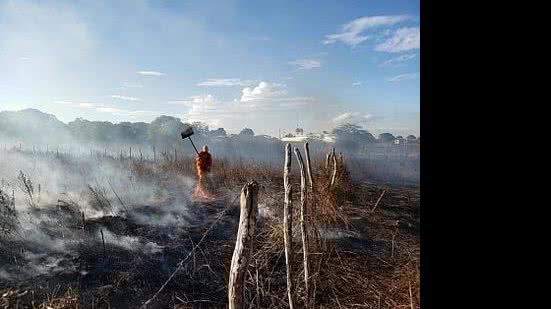 Alagoas registra queda de 7% nas ocorrências de incêndios em vegetação | Corpo de Bombeiros