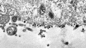 Débora Barreto / Fiocruz