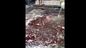 Imagem Vídeo: moradores do Jacarezinho relatam invasão de casas, corpos no chão e desespero