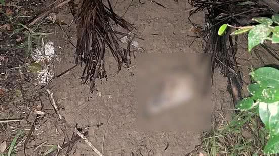 Ronael Lopes da Silva, de 21 anos, estava desaparecido há pelo menos três dias