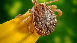 Prefeitura de Jundiaí