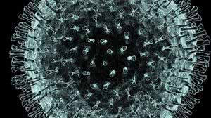 Imagem OMS nomeia doença causada pelo coronavírus; vacina pode surgir em 18 meses