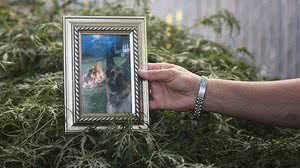 Foto: Kholood Eid/Nathional Geofrafic