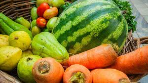 Pei Fon/Agência Alagoas