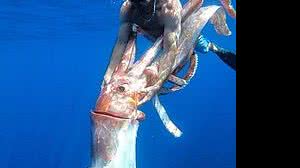 Foto: Reprodução/Teo Lucas