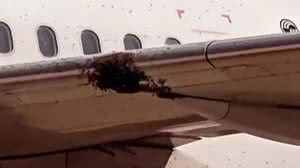 Reprodução / TV Globo