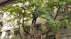 Reprodução Twitter