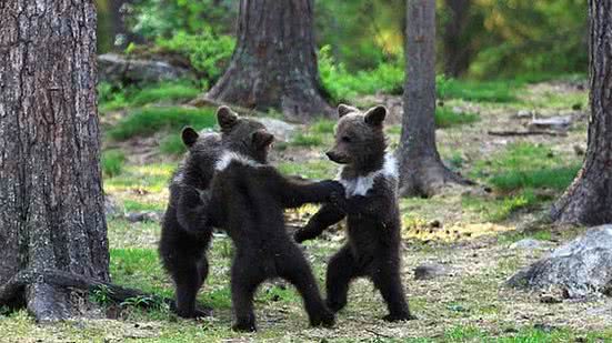 Reprodução / Instagram @valtterimulkahainen