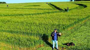 Tiago Kosinski II/Facebook/Reprodução