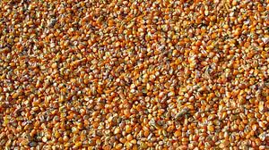 País é responsável por 25% do total mundial de vendas do cereal | Pixabay