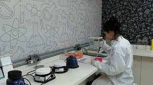 Em experimentos com camundongos, o anti-inflamatório ácido mefenâmico se mostrou mais eficiente do que a única droga hoje disponível para o combate à verminose, o praziquantel | Universidade Guarulhos