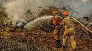 Mayke Toscano / Secom MT