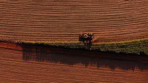 Joel Silva / Folhapress