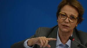 Imagem Ministra diz que fornecimento de alimentos está dentro da normalidade