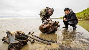 Divulgação/Governo de Yamalo-Nenets