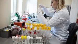 Imagem Estudo aponta que 99% das pessoas infectadas criam anticorpos contra o coronavírus