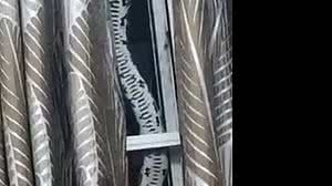 Reprodução / Facebook